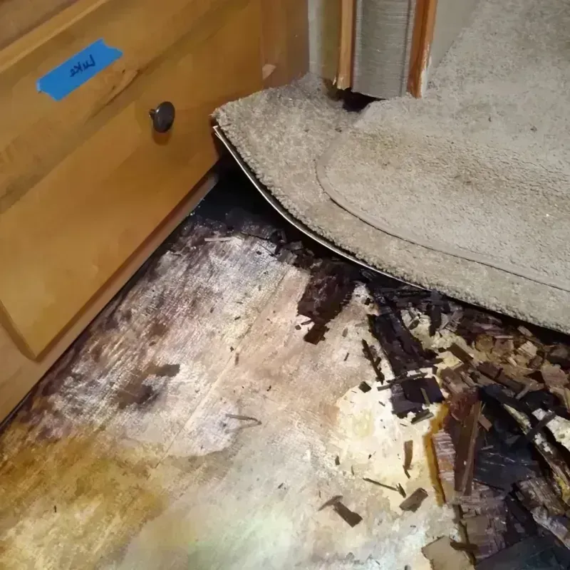 Wood Floor Water Damage in Towson, MD